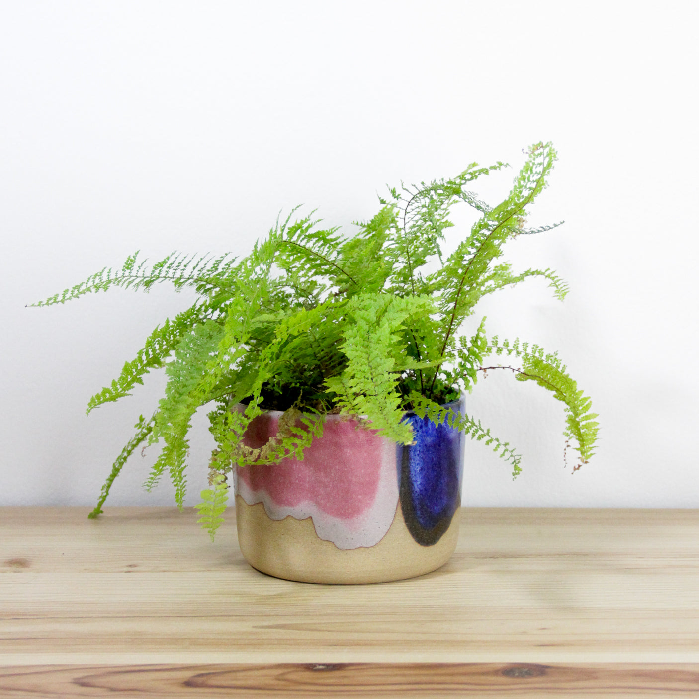 Planter | pink and blue