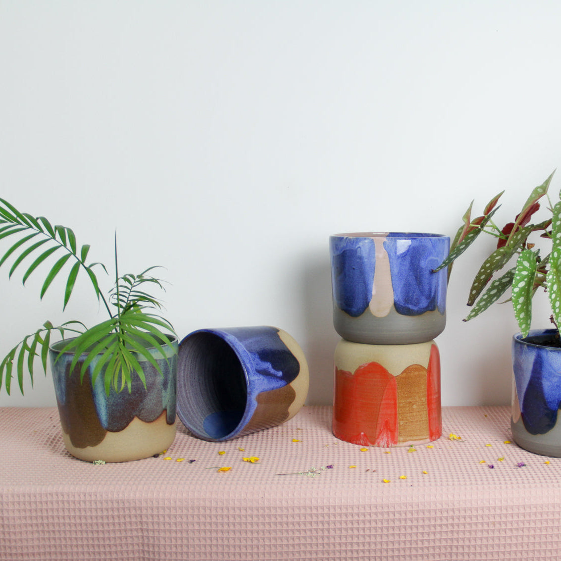 Image de plusieurs cache-pots de couleurs différentes. Certains contiennent des plantes. Il y a des pots bleus, rouges et verts.