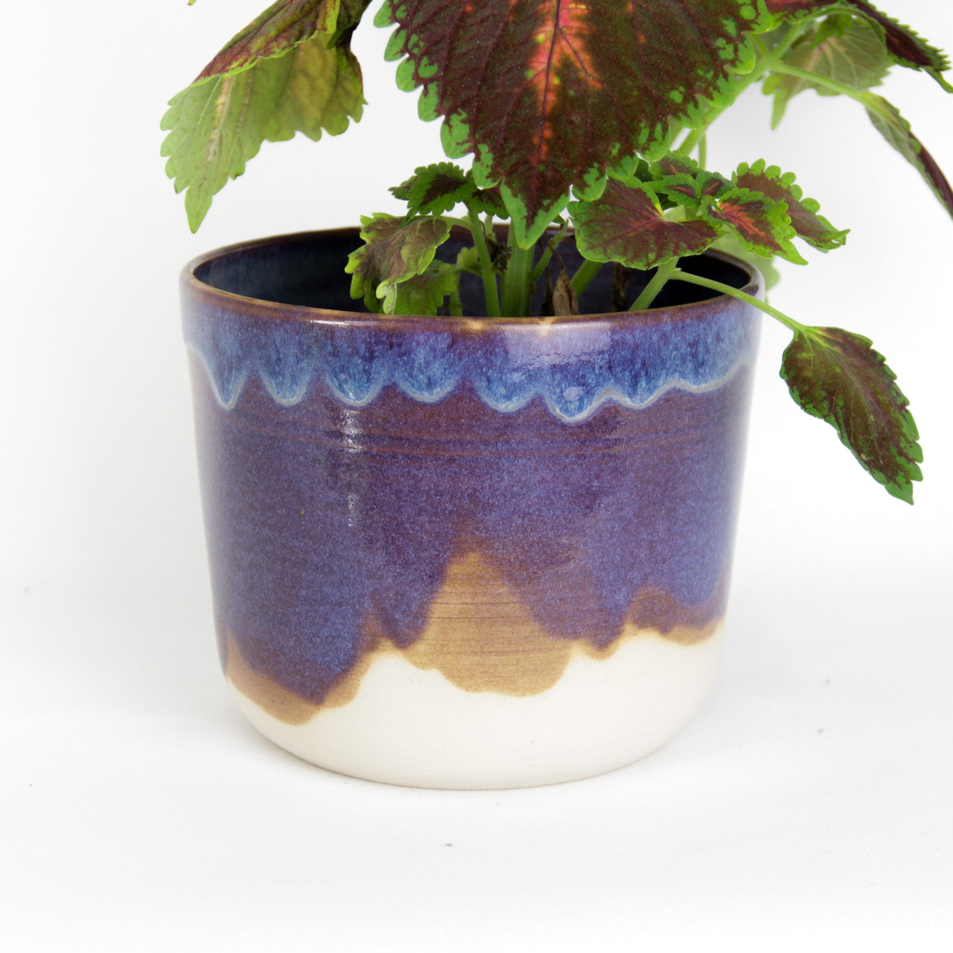 Image d'un grand cache-pot qui contient une belle plante verte. Le cache-pot en céramique artisanale est violet nébuleuse. Il fait 14 cm de haut et 16,5 cm de diamètre.